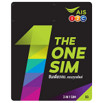 the One Sim